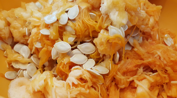 Why Pumpkin Seeds Should A Be Part Of Your Diet